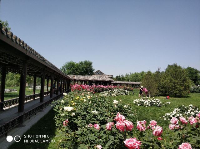 大兴世界月季主题园