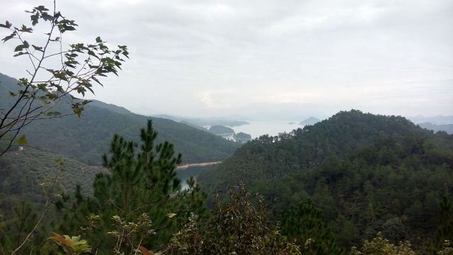 千岛湖城中湖休闲游