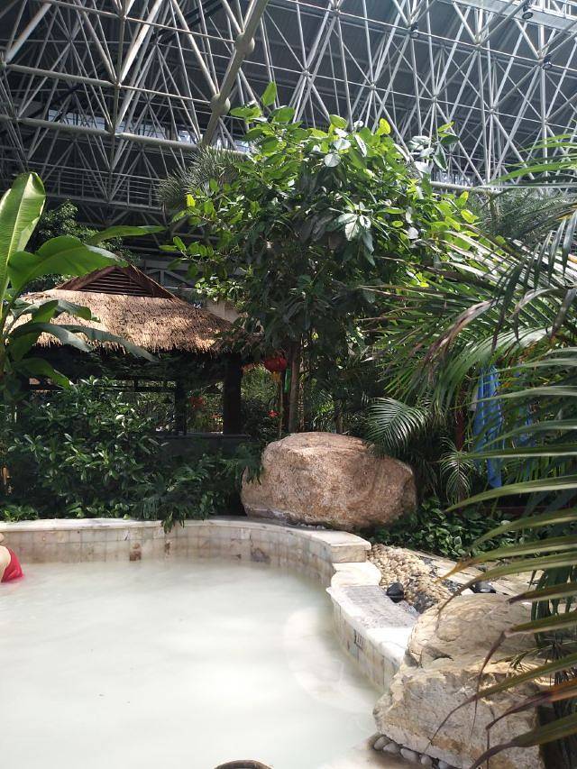 阿尔卡迪亚滨海度假酒店荣和心苑温泉