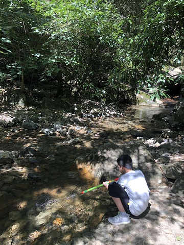 "景区内环境还是可以的，可惜水势太小，溪水是干净清爽的。去那玩好外面民宿客栈住一晚应该不错_神龙川风景区"的评论图片