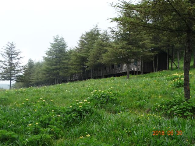 红崖峡谷滑雪场