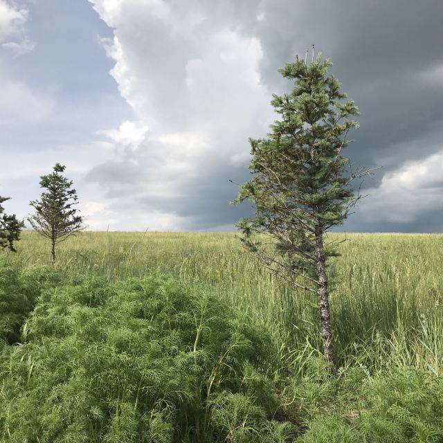 额尔古纳湿地冰泉度假小镇