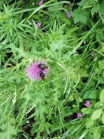 "...重，可巧去的前几天大雨，溪水一路奔腾，走水路越往上游水越急，不过有些路段略险，不太适合老人小孩_六盘山国家森林公园"的评论图片