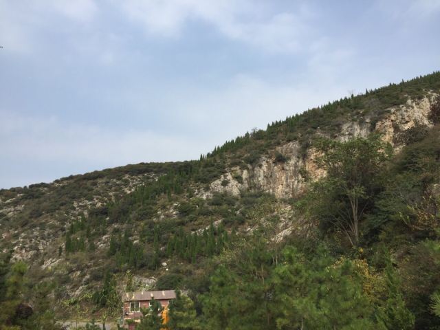 金象山橡谷国际营地