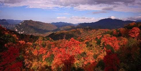 光雾山旅游景区旅游景点攻略图