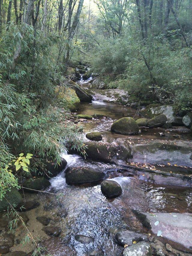 木王国家森林公园