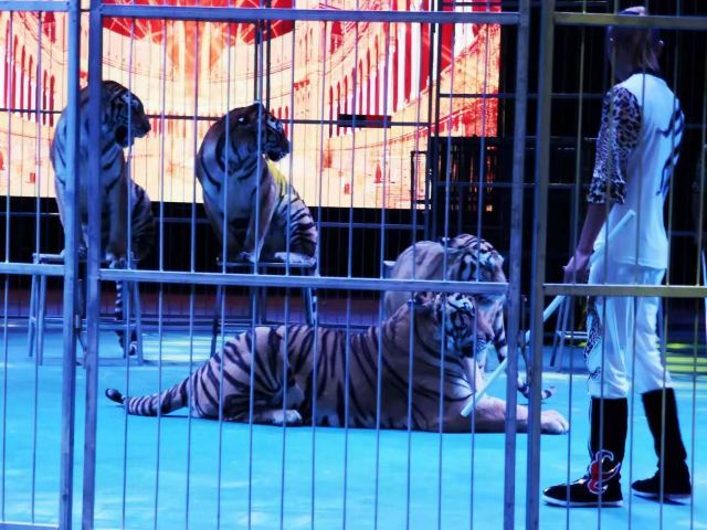 清远静山湖景区