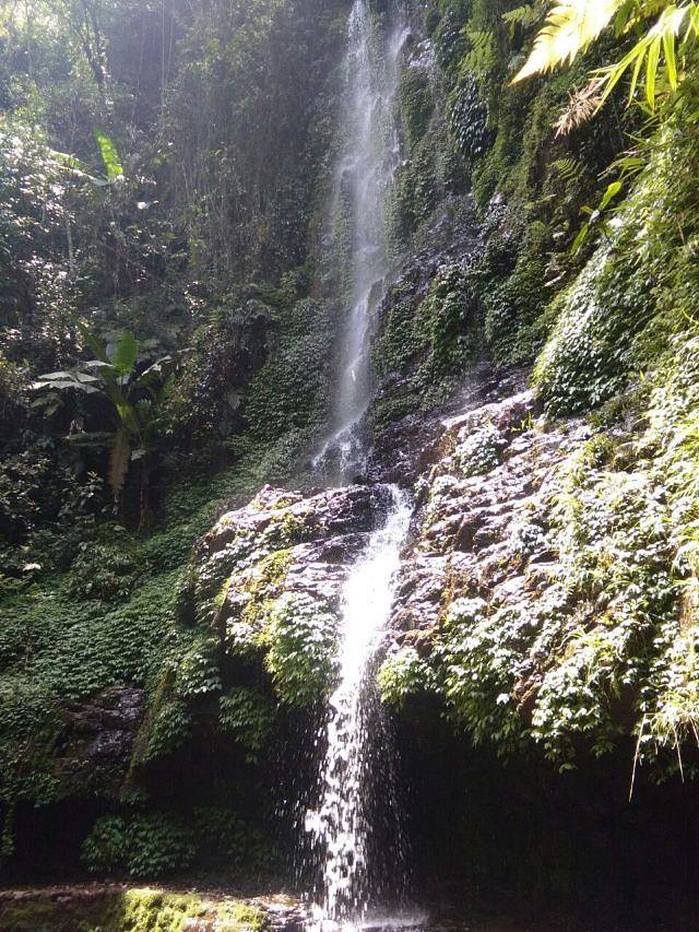 大桂山国家森林公园
