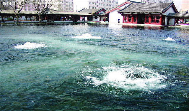 天下名山之首五岳独尊的【泰山】,游览秦皇御封五大夫松,天门云梯十八