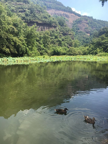 "不过站在峰顶远眺整个丹霞山真的很美啊，山上好多松鼠，下山之后再坐竹筏沿水路观赏，最后去阳元山走..._丹霞山"的评论图片