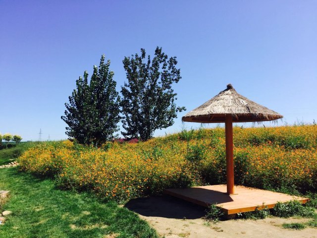 森林河趣那主题公园