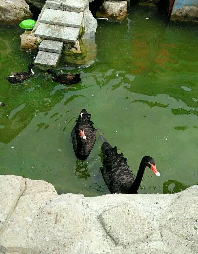 中山公园动物园