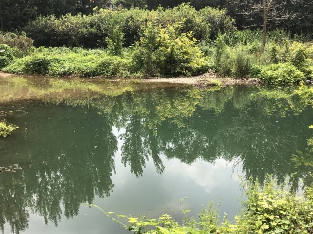 峨庄瀑布群风景区