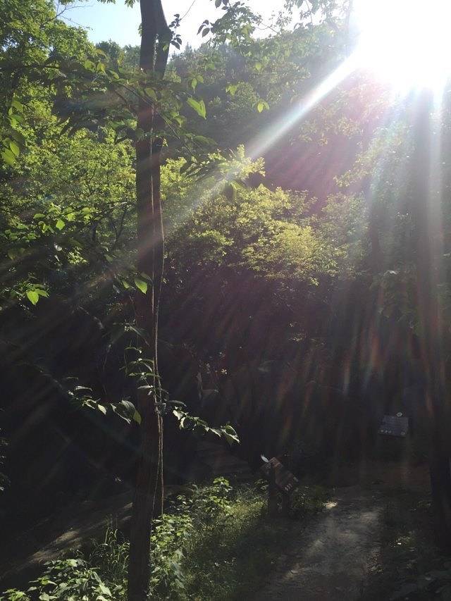 大龙山乌龙溪景区