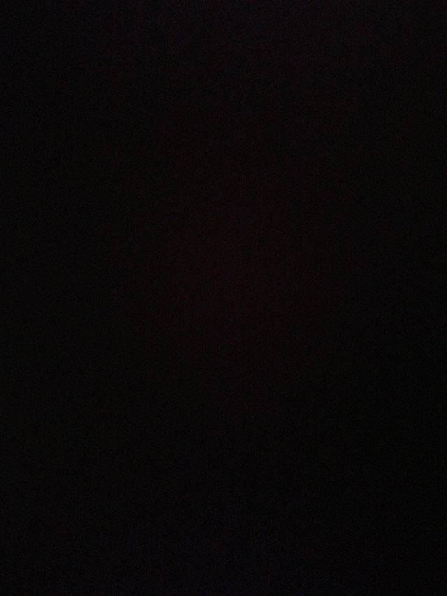 敦煌千年胡杨林