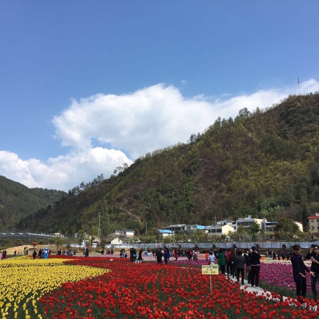 黄龙壹号生态园