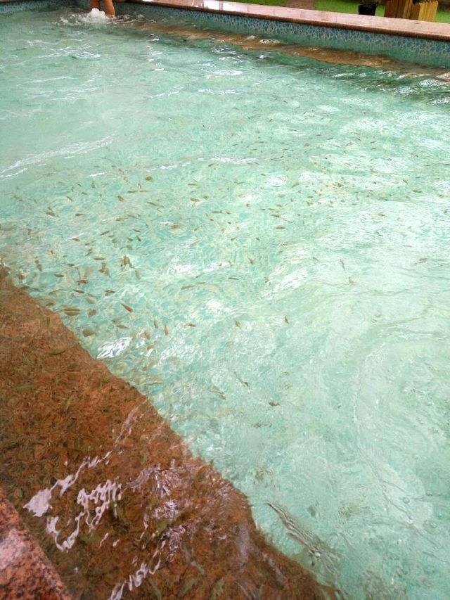 九里温泉度假村