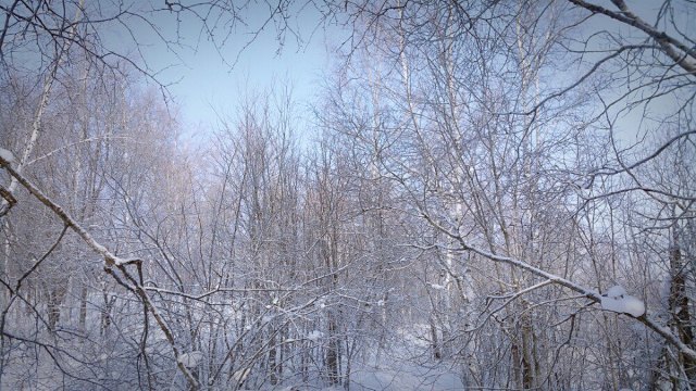 阿尔山白狼峰景区