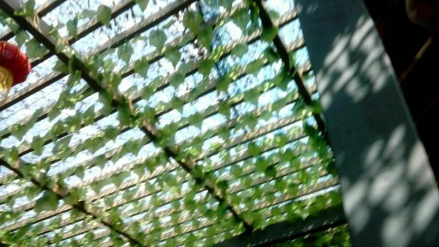 九里温泉度假村