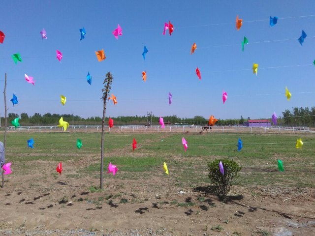 祥龙欢乐水世界