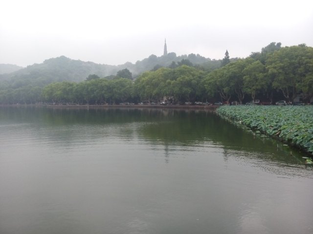 杭州HULUTOWN呼噜幼幼