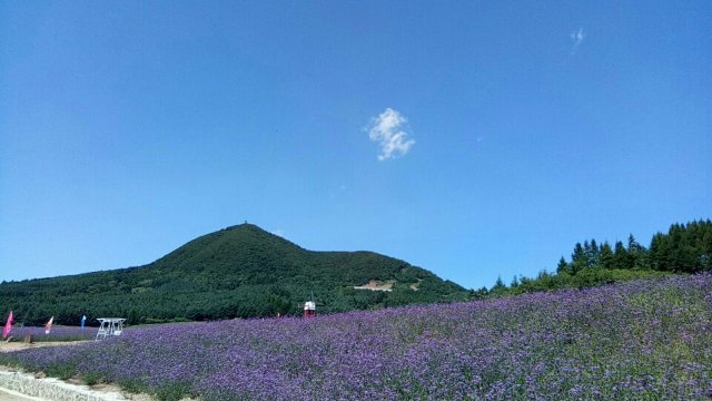 清原满族自治县文化旅游和广播电视局