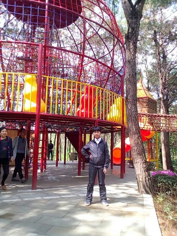 龙水湖松鹤岛运动公园