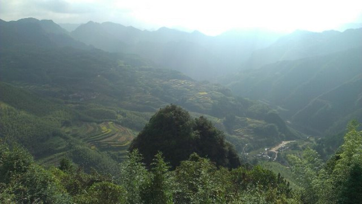 "南尖岩最值得一看的是在云雾中的梯田和山野景色_南尖岩景区"的评论图片