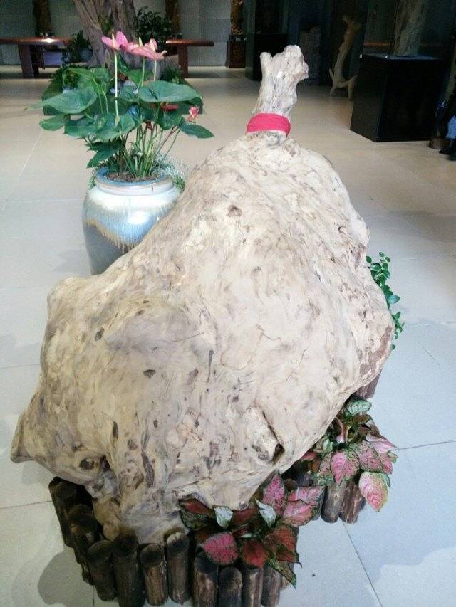 中国沉香文化博物馆