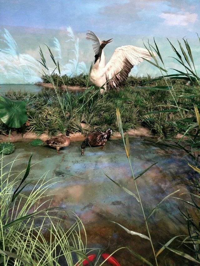 河北首届园林博览会