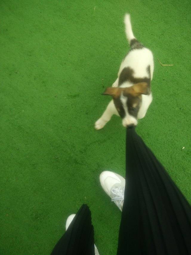 桐庐珊瑚岭乡村旅游度假区