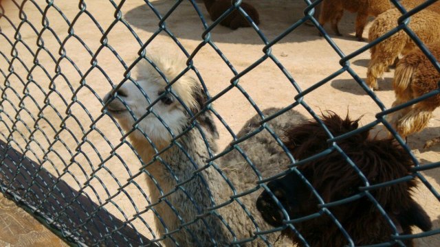 跑马岭生态休闲度假区