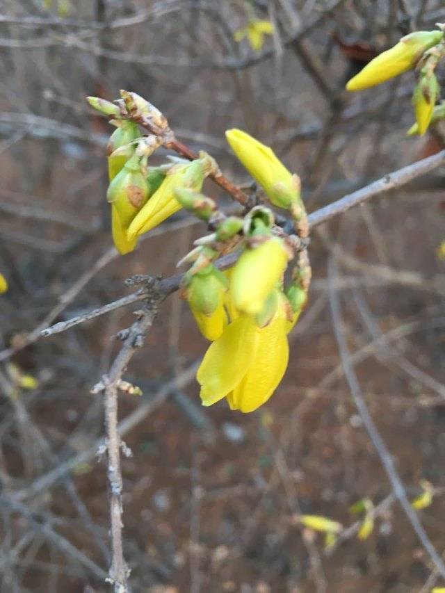 金石滩狩猎俱乐部