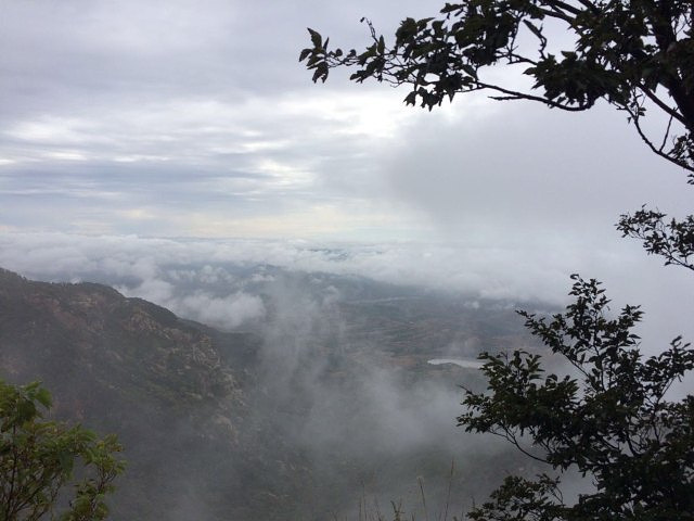 "_沂蒙山旅游区沂山景区"的评论图片