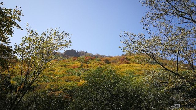 茅荆坝森林公园