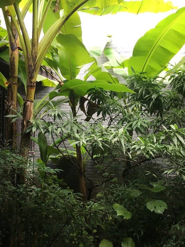 凤城河风水博物馆