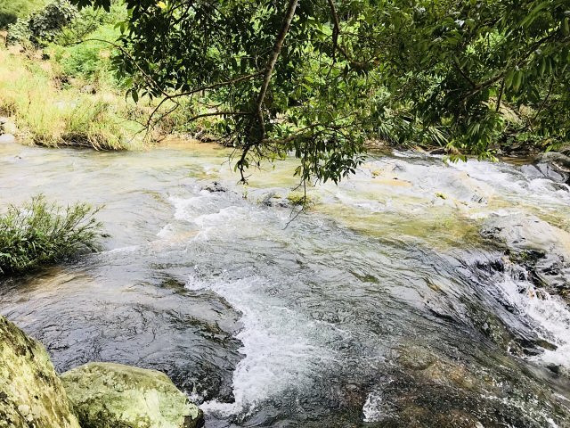 "景色着实优美，坐车至观景平台，正对五指山，蓝天白云青山绿水相互辉映_五指山水满河热带雨林风景区"的评论图片