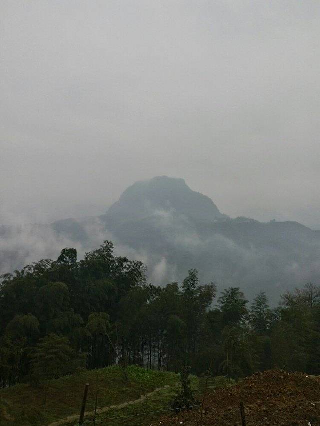 西部竹石林景区