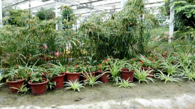 宁夏农旅产业园