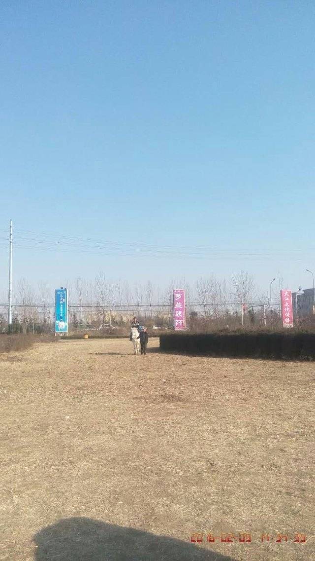 昌邑市绿博园景区