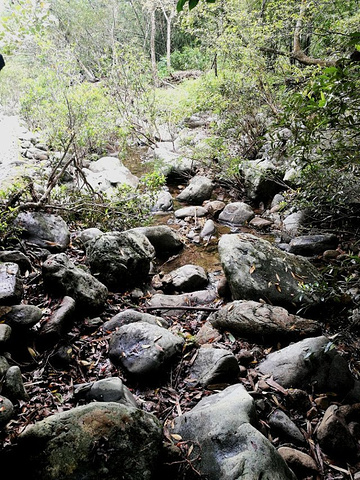 "雨林边缘开辟的一小片地方，风景优美，入口处可以眺望一下五指山，面积不大，2-3小时就转完了，有..._五指山水满河热带雨林风景区"的评论图片