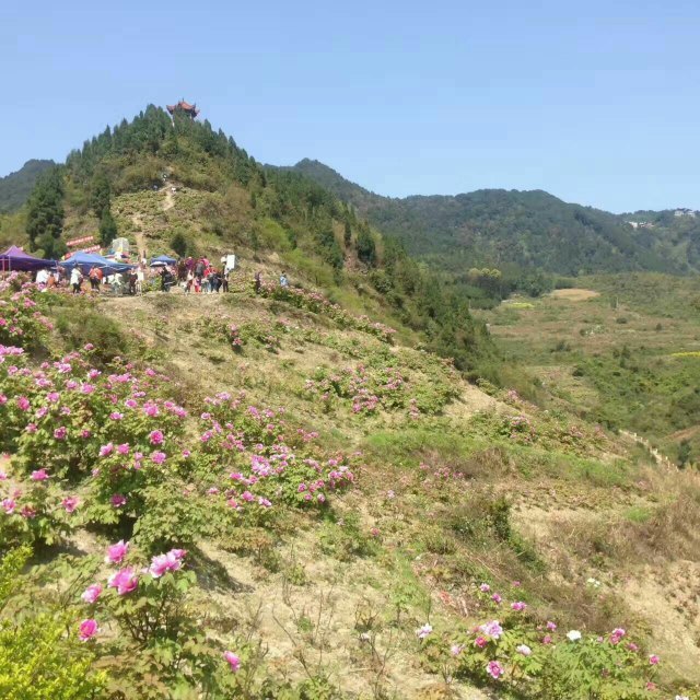 垫江牡丹生态旅游区
