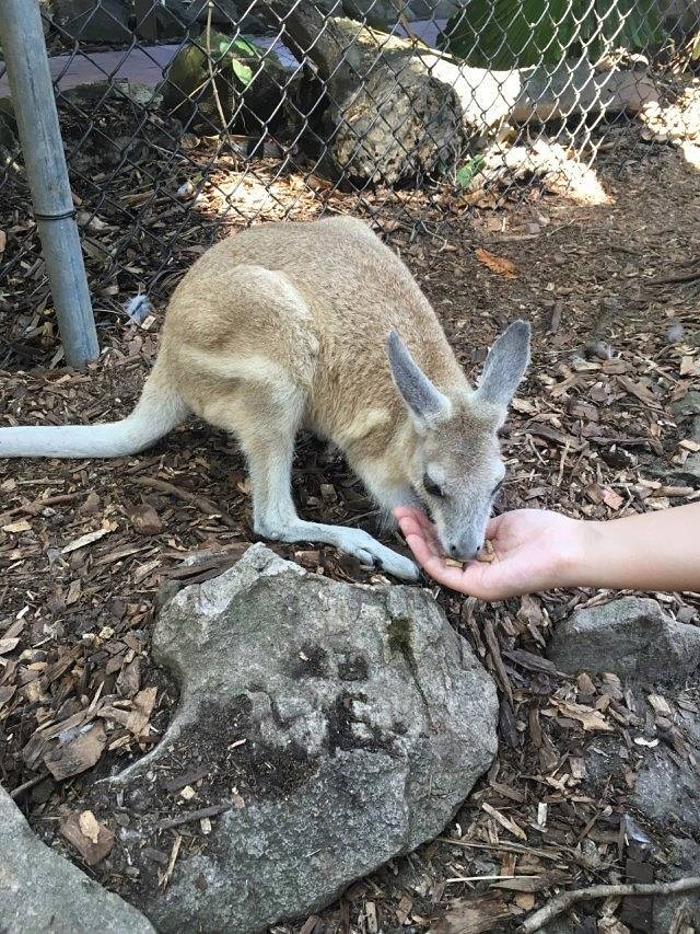 道格拉斯港野生动物栖息地