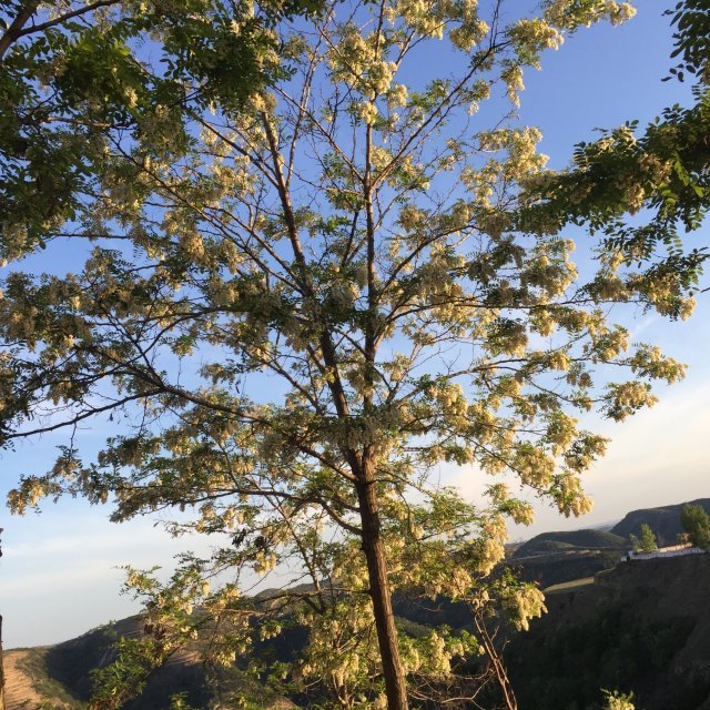 陕西洛川黄土国家地质公园