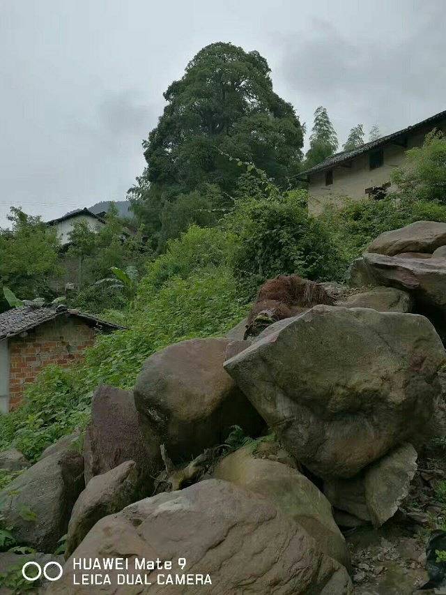 西海观湖岛景区