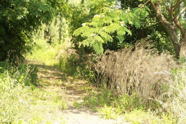 醉美西湖观光游乐园