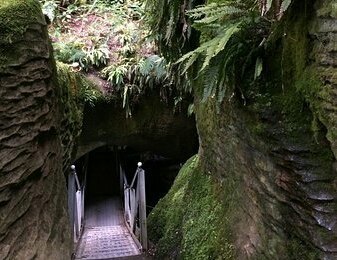 蒂阿瑙萤火虫洞