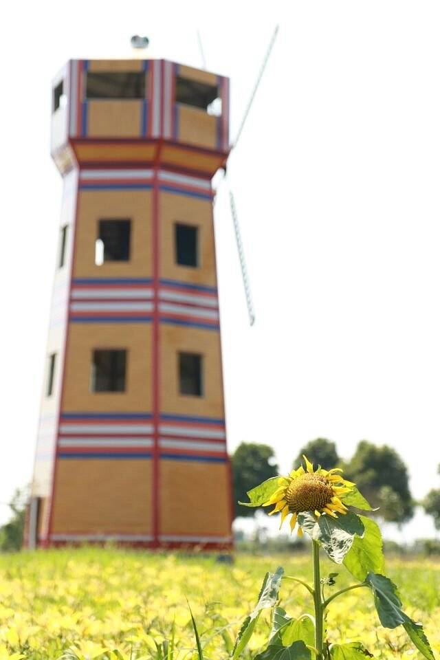 醉美西湖观光游乐园