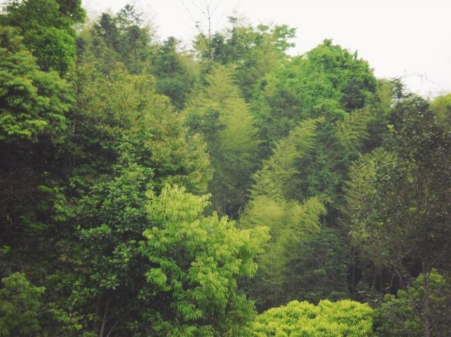 蓝田瑶族风情旅游区