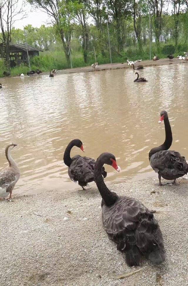 珠海一棵树休闲农庄